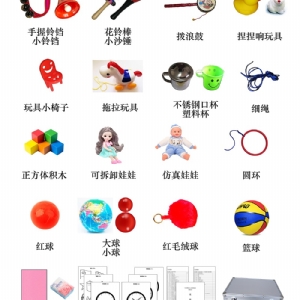Bayley貝利（lì）嬰幼兒發展量表（biǎo）BSID工具箱包