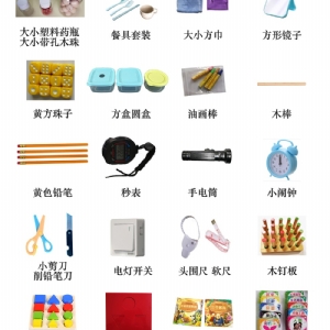 Bayley貝利嬰幼兒（ér）發展量（liàng）表BSID工具箱包