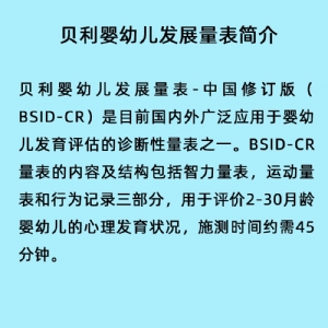 Bayley貝利嬰幼（yòu）兒發展量表評估係統工具箱BSID-CR